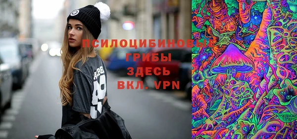 сатива Алексеевка