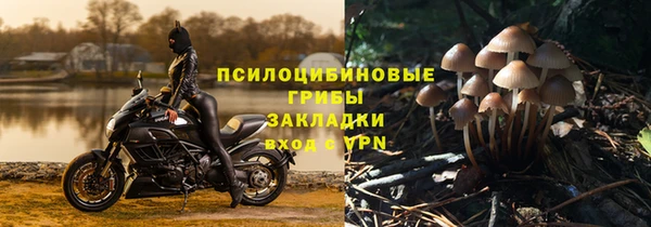 сатива Алексеевка