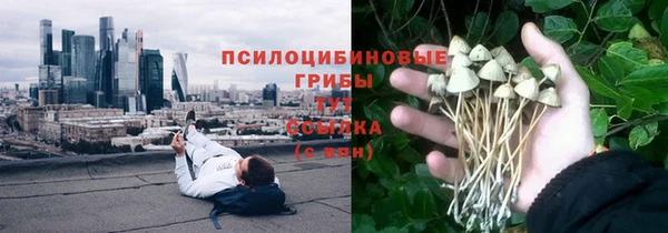 герыч Алексин