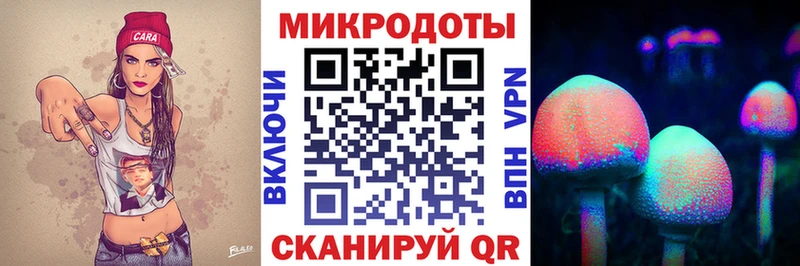 продажа наркотиков  Арсеньев  Псилоцибиновые грибы мицелий 
