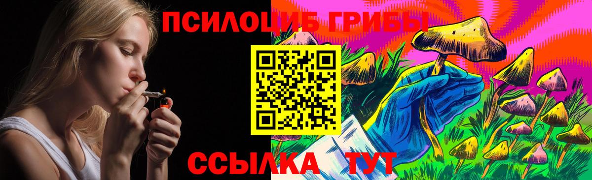Псилоцибиновые грибы прущие грибы Арсеньев